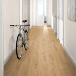 2272009 - Dub Predaia medový 4V